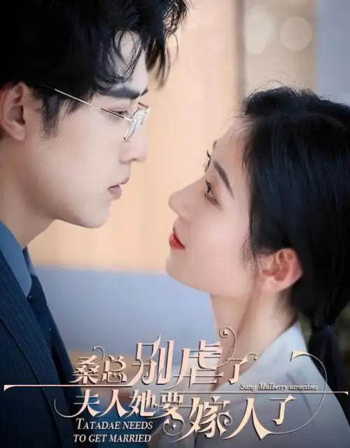 都市剧《城中之城》全集在线观看